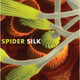 Image for article titled How Spiders Took Over the Sky